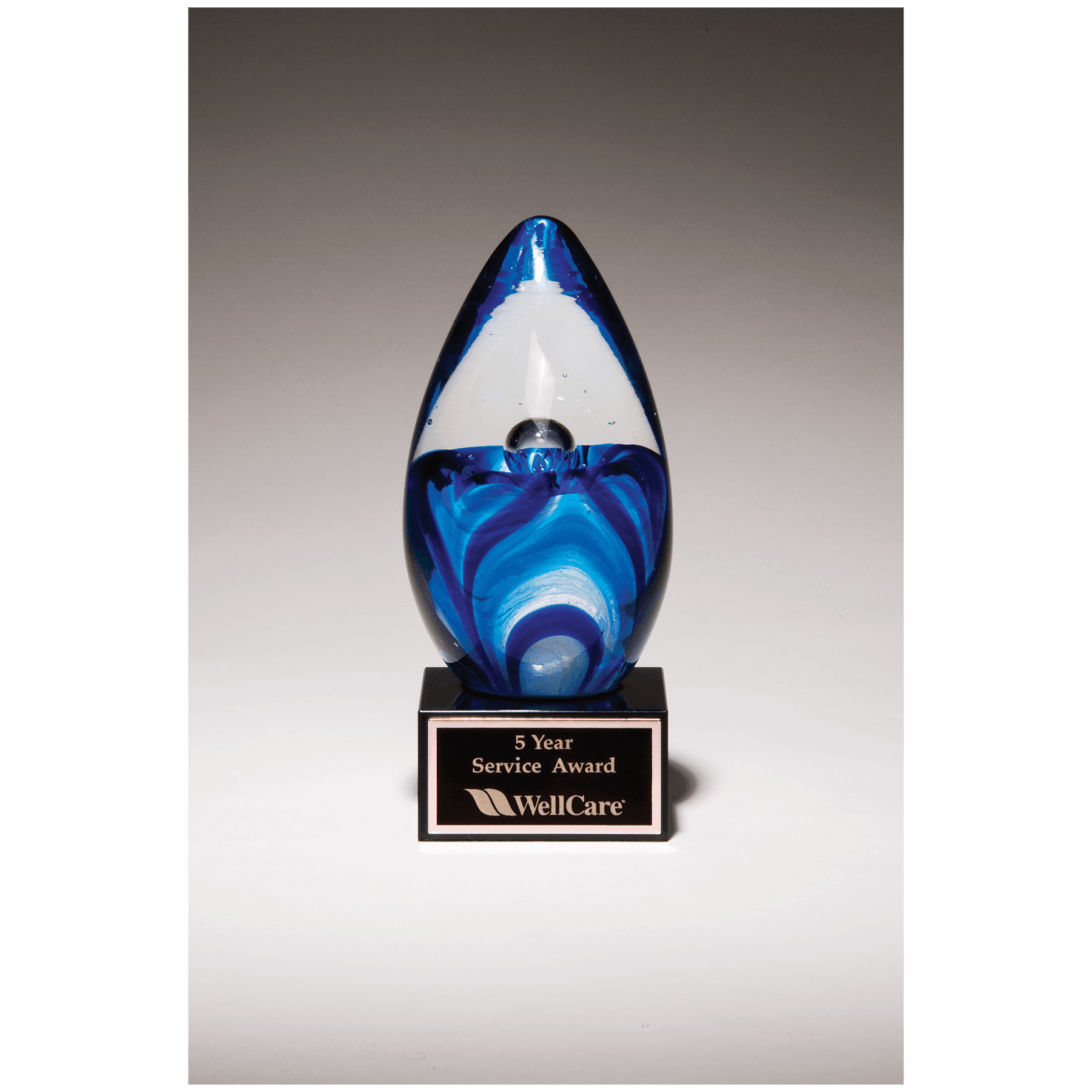 6 1/2" Blue Egg Shaped Art Glass on Glass Base with Black Laserable Aluminum Plate