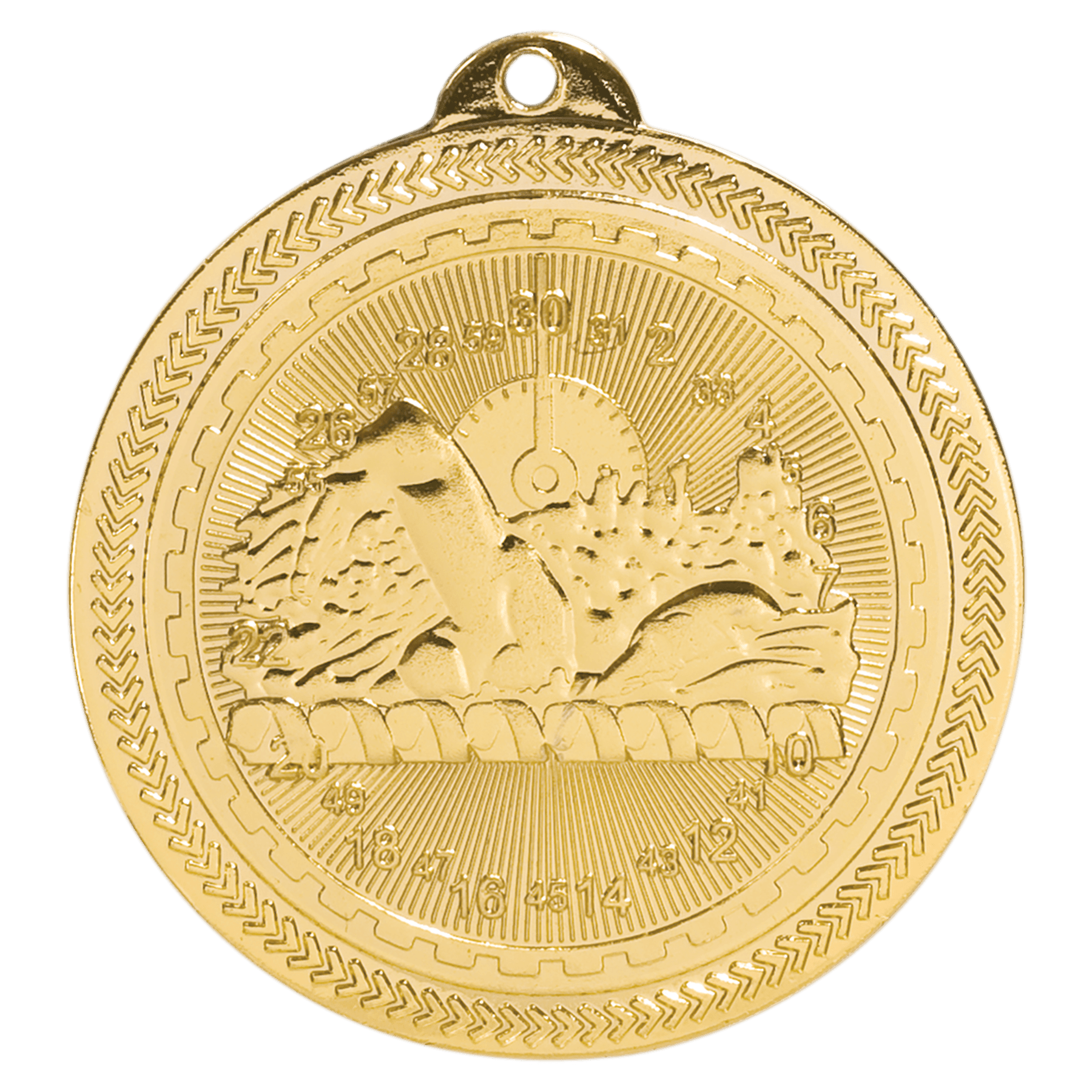 2" Bright Swimming Laserable BriteLazer Medal